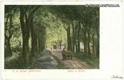 Rolde, Laan te Rolde. V.d. Sande Bakhuizen ansichtkaart: Rolde, Laan te Rolde. V.d. Sande Bakhuizen