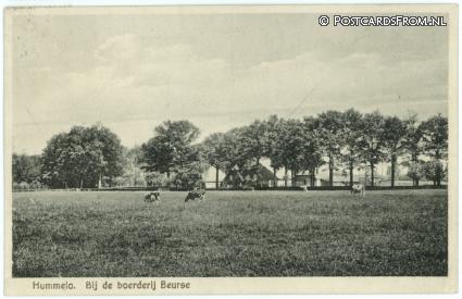 ansichtkaart: Hummelo, Bij de boerderij Beurse
