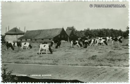 Ankeveen, Landelijk Schoon ansichtkaart: Ankeveen, Landelijk Schoon
