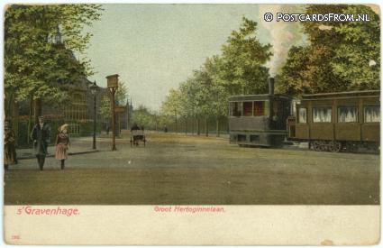 ansichtkaart: 's-Gravenhage, Groot Hertoginnelaan