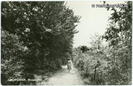 ansichtkaart: Groesbeek, Bosgezicht