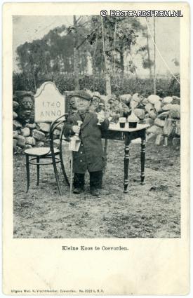 ansichtkaart: Coevorden, Kleine Koos