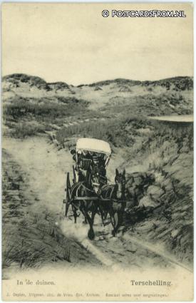 Terschelling, In de duinen ansichtkaart: Terschelling, In de duinen