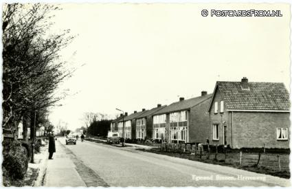 ansichtkaart: Egmond-Binnen, Heerenweg