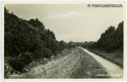 ansichtkaart: Terschelling Hoorn, Duinweg