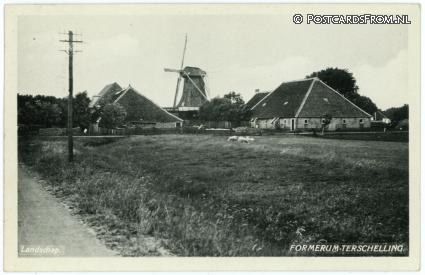 ansichtkaart: Terschelling Formerum, Landschap