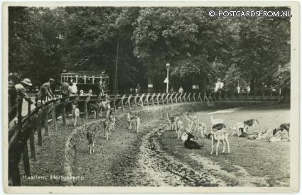 ansichtkaart: Haarlem, Hertenkamp