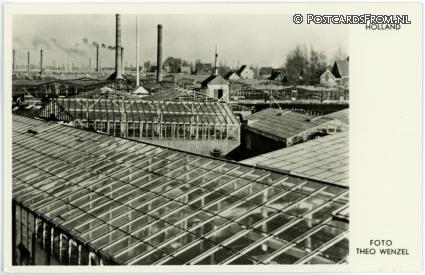 ansichtkaart: Aalsmeer, Een glaszee, zover het oog reikt