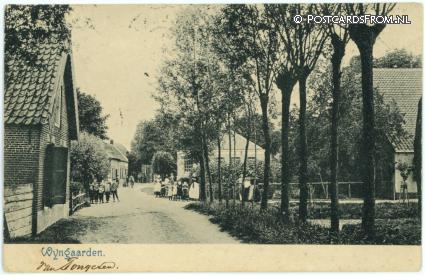 ansichtkaart: Wijngaarden, --