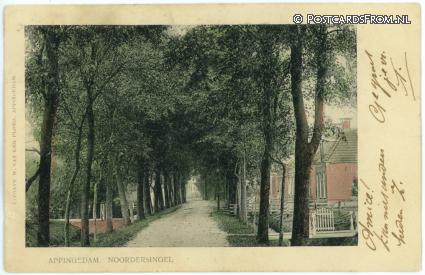 Appingedam, Noordersingel ansichtkaart: Appingedam, Noordersingel