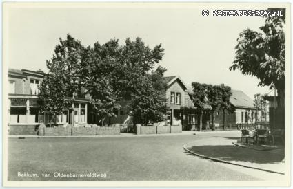 ansichtkaart: Bakkum, Van Oldenbarneveldtweg