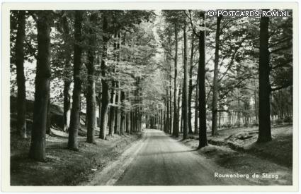 ansichtkaart: De Steeg, Rouwenberg