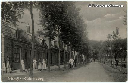 ansichtkaart: Culemborg, Triowijk