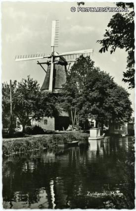 ansichtkaart: Zuidlaren, Molen