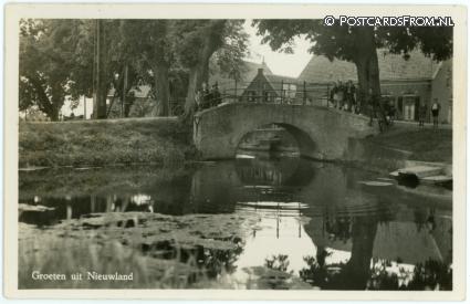 Nieuwland, Groeten uit ansichtkaart: Nieuwland, Groeten uit