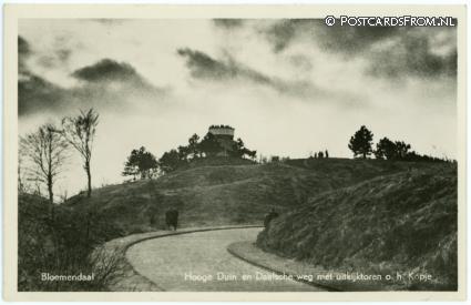 ansichtkaart: Bloemendaal, Hooge Duin en Daalsche weg met uitkijktoren o.h. Kopje
