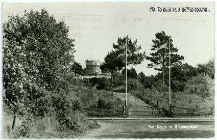ansichtkaart: Bloemendaal, Het Kopje