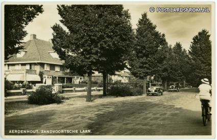 ansichtkaart: Aerdenhout, Zandvoortsche Laan