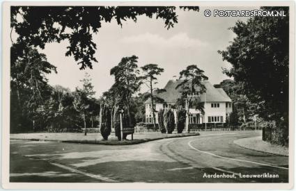 ansichtkaart: Aerdenhout, Leeuweriklaan