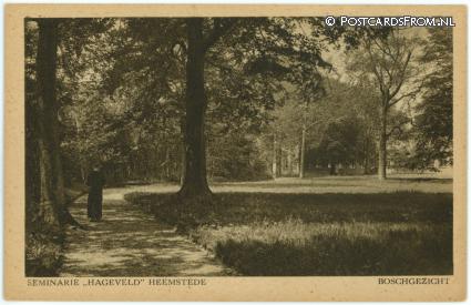 Heemstede, Seminarie 'Hageveld'. Boschgezicht ansichtkaart: Heemstede, Seminarie 'Hageveld'. Boschgezicht