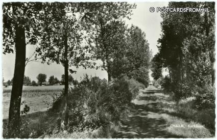 ansichtkaart: Chaam, Kerkdreef. Recreatieoord 'De Paasbloem'