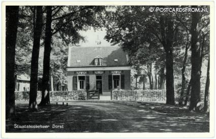 ansichtkaart: Dorst, Staatbosbeheer