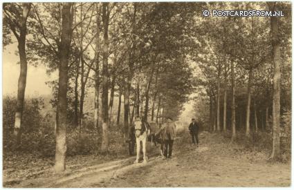 ansichtkaart: Oisterwijk, Boschweg