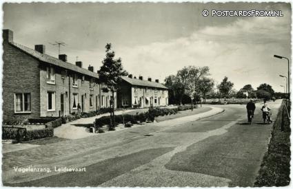 Vogelenzang, Leidsevaart ansichtkaart: Vogelenzang, Leidsevaart