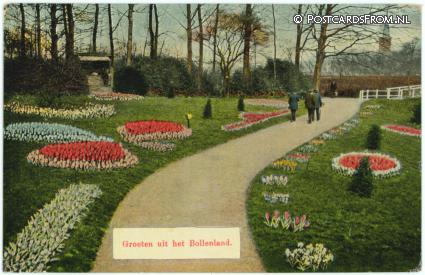 ansichtkaart: Haarlem, Tuinversiering met Bloembollen. Groeten uit het Bollenland