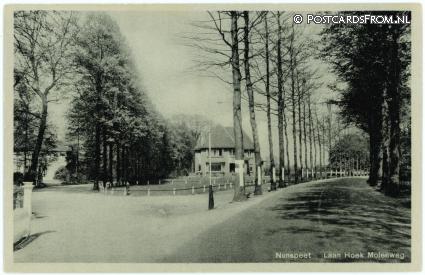 ansichtkaart: Nunspeet, Laan Hoek Molenweg