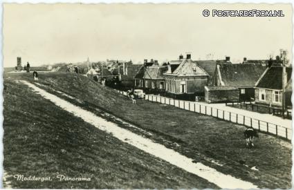 ansichtkaart: Moddergat, Panorama
