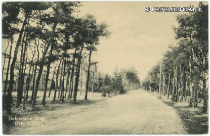 ansichtkaart: Den Dolder, Doldersche Weg