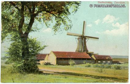 Zaandam, Badhuisweg ansichtkaart: Zaandam, Badhuisweg