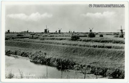 ansichtkaart: Kinderdijk, Molens