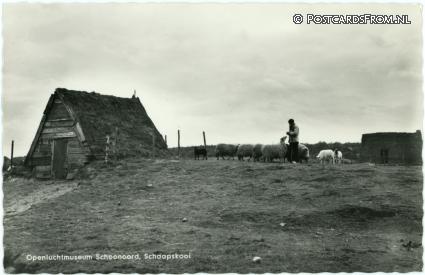 Schoonoord, Openluchtmuseum. Schaapskooi ansichtkaart: Schoonoord, Openluchtmuseum. Schaapskooi