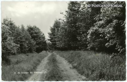 ansichtkaart: Vledder, In de bossen