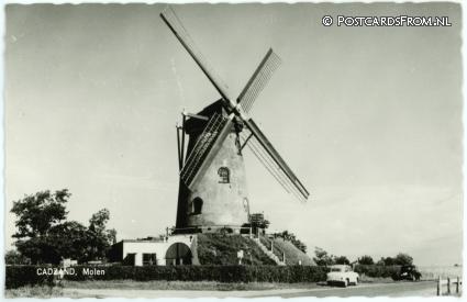 ansichtkaart: Cadzand, Molen