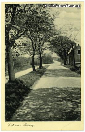 ansichtkaart: Castricum, Zeeweg
