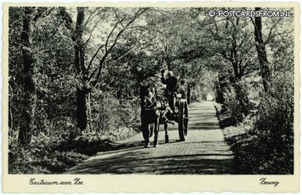 ansichtkaart: Castricum, Zeeweg