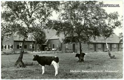 ansichtkaart: Markelo, Kampeerboerderij 'Moazeveld'