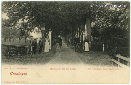 ansichtkaart: Midwolde, De oprijlaan naar Nienoord