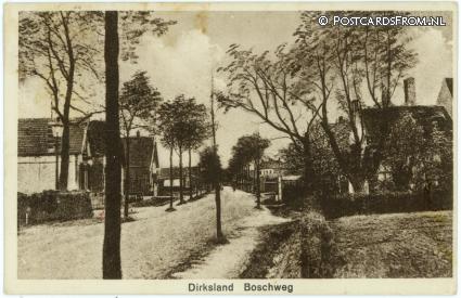 Dirksland, Boschweg ansichtkaart: Dirksland, Boschweg