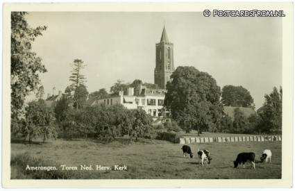 ansichtkaart: Amerongen, Toren Ned. Herv. Kerk