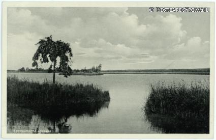 ansichtkaart: Leersum, Leersumsche Plassen