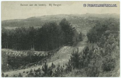 ansichtkaart: Bergen NH, Duinen aan de landzij