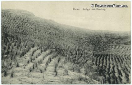 ansichtkaart: --, Helm. Jonge aanplanting