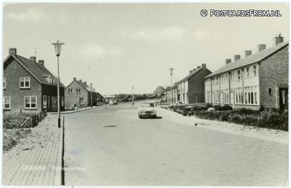 ansichtkaart: Cadzand, Egelantierlaan