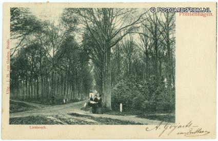 ansichtkaart: Princenhage, Liesbosch