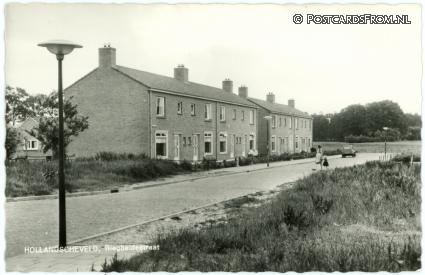 ansichtkaart: Hollandscheveld, Riegheidestraat