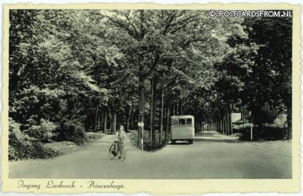 ansichtkaart: Princenhage, Ingang Liesbosch